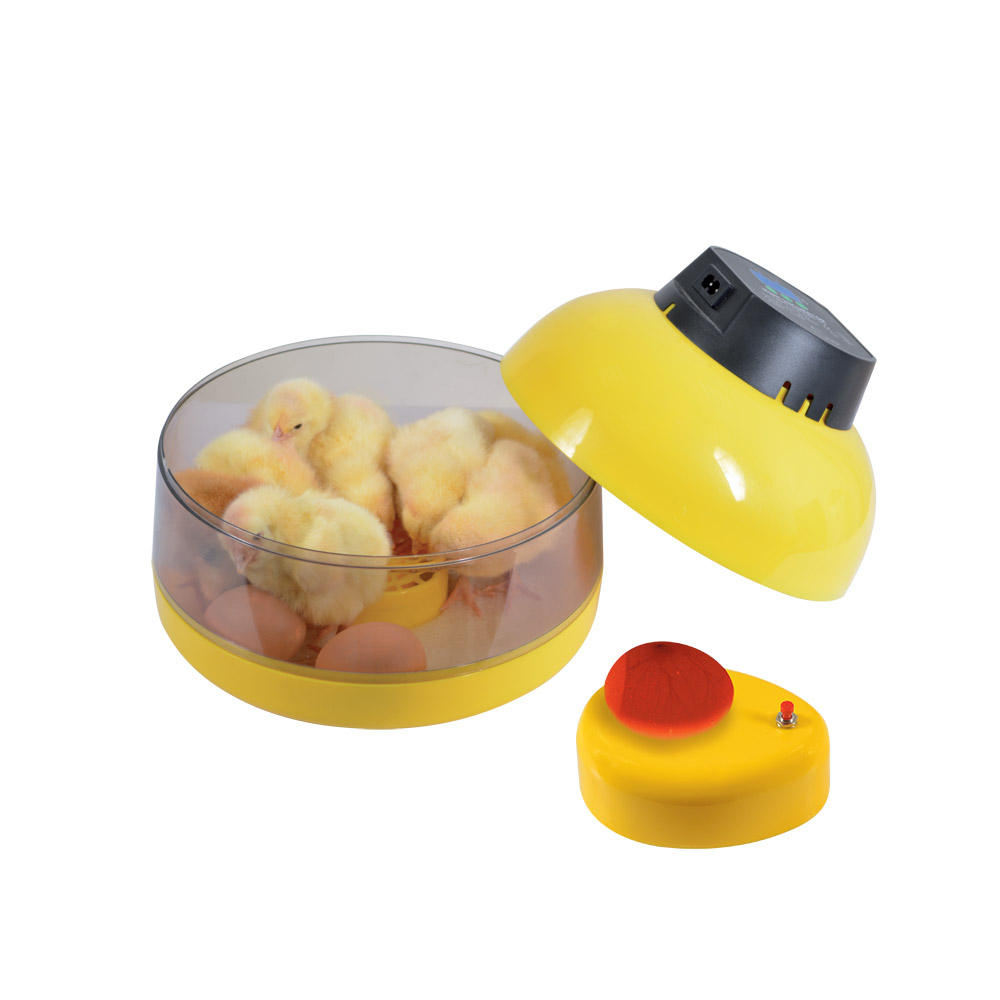 Comment bien choisir sa couveuse pour l'incubation des oeufs ?